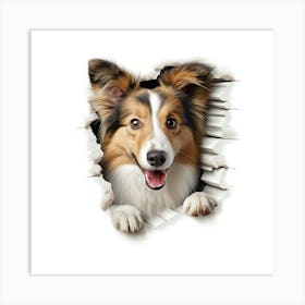 Collie Dog Art Print