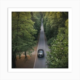 A Birds Eye View Of A Forest Art Print