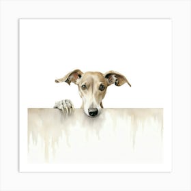 Greyhound 1 Art Print