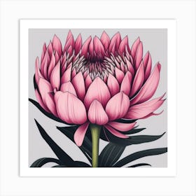 Protea myluckycharm 1 Art Print