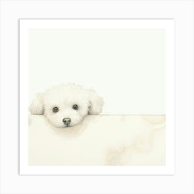 White Dog Peeking Over A Wall Art Print