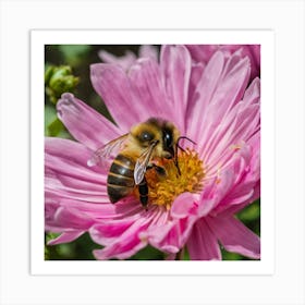 Bee On A Pink Flower Art Print