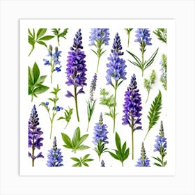 Nature Pattern Isolate White Arrangement Purple Flat Floral Blue Natural Herbal Medicine (8) Art Print