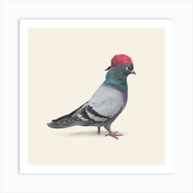 Pirate Pigeon Art Print