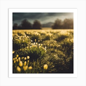 Daffodils 2 Art Print