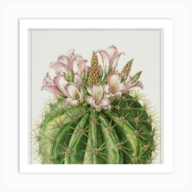 Cactus Flower Art Print