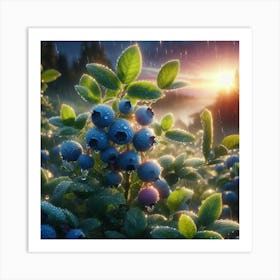 Blueberries In The Rain Art Print