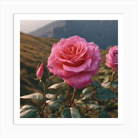 Roses In The Mountains Art Print