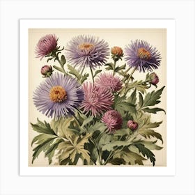 Asters Wildflower Vintage Botanical Art Print 3 Art Print