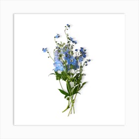 Forget-Me-Nots Art Print