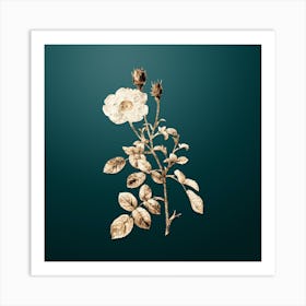 Gold Botanical Sparkling Rose on Dark Teal n.3025 Art Print