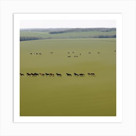 Herd Of Horses In A Field Art Print