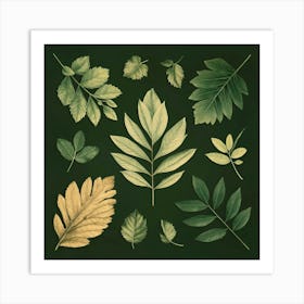 Autumn Leaves 7 Art Print