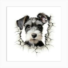 Schnauzer Art Print