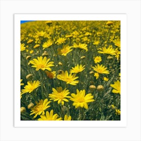 Yellow Daisies In A Field Art Print