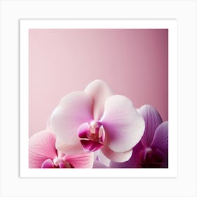 Flower of Orchid 1 Art Print