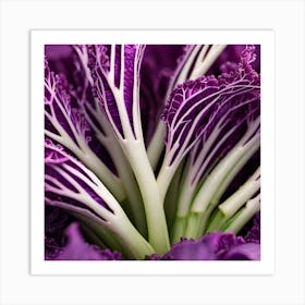 Purple Cabbage 4 Art Print