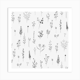 White Wildflowers Art Print