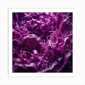 Purple Cabbage 2 Art Print