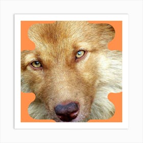 Wolf Dog Art Print