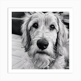 Black And White Dog Portrait Art Print