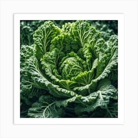 Green Cabbage In The Garden Art Print