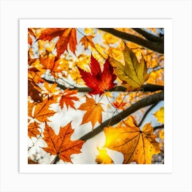 Autumn Leaves Art Print