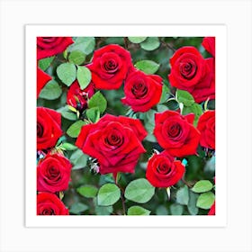 Red Roses 2 Art Print