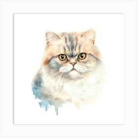 American Shorthair Persian Cat Portrait 3 Art Print