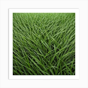 Grass Background 26 Art Print