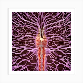 Brain And Spinal Cord 8 Art Print