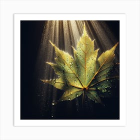 Maple Leaf 3 Art Print