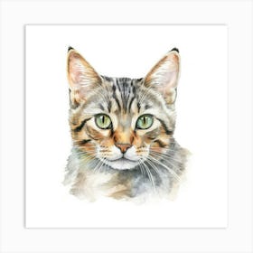 Pixie Bob Cat Portrait 2 Art Print