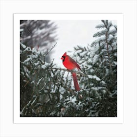 Firefly Beautiful, Winter, Day, Cardinal, Bird, Snowing, Snowy, Serene, Peaceful, Nature, Vibrant, R (1) Art Print