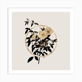 Gold Ring White Rose of Snow Glitter Botanical Illustration Art Print