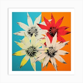 Andy Warhol Style Pop Art Flowers Edelweiss 1 Square Art Print