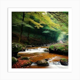 Stream In The Forest 11 Art Print