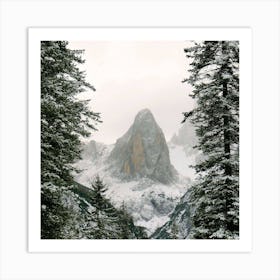 Mountain Snow Branches Wallpaper 1024x1024 Art Print