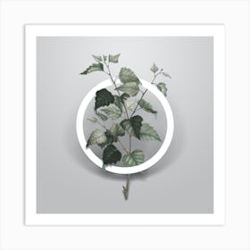 Vintage Silver Birch Minimalist Botanical Geometric Circle on Soft Gray n.0095 Art Print