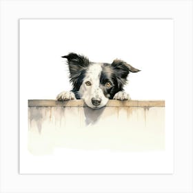 Border Collie 6 Art Print