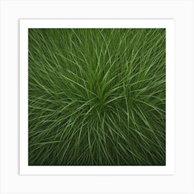 Grass Background 28 Art Print