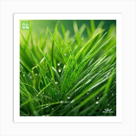 Green Grass 27 Art Print