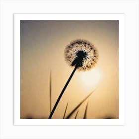 Dandelion At Sunset Art Print