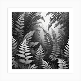 Ferns In The Forest 9 Art Print