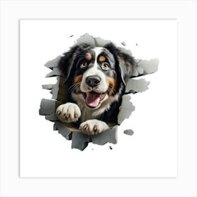 Bernese Dog 1 Art Print