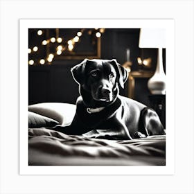 Black Labrador Art Print