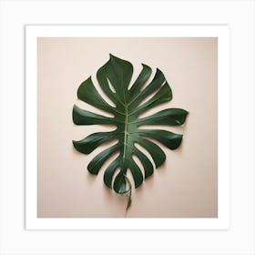 Aesthetic style, Large Monstera leaf 1 Art Print