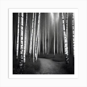 Birch Forest 43 Art Print