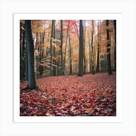 Autumn Forest Art Print