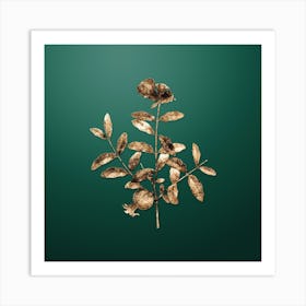 Gold Botanical Pomegranate Branch on Dark Spring Green n.3252 Art Print